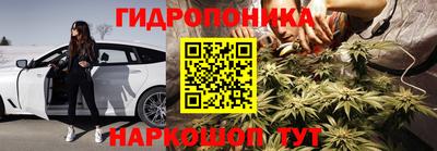 крисы Бузулук