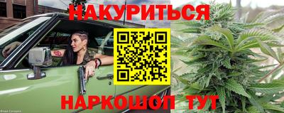 крисы Бузулук
