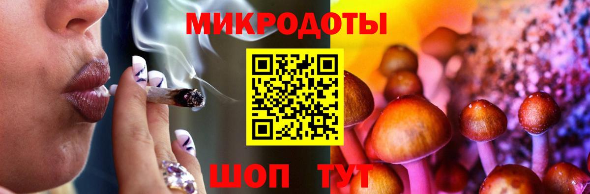 Галлюциногенные грибы Cubensis Новочебоксарск